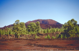 Vulkanlandschaft im Westen von Teneriffa